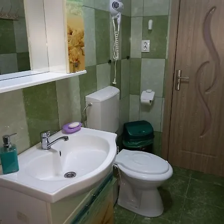 Apartment Apartament Bucovina *