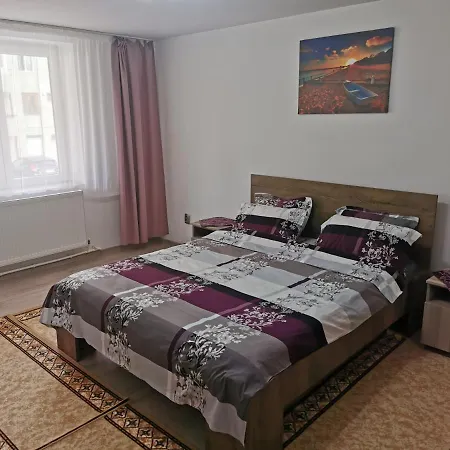 Apartament Bucovina *