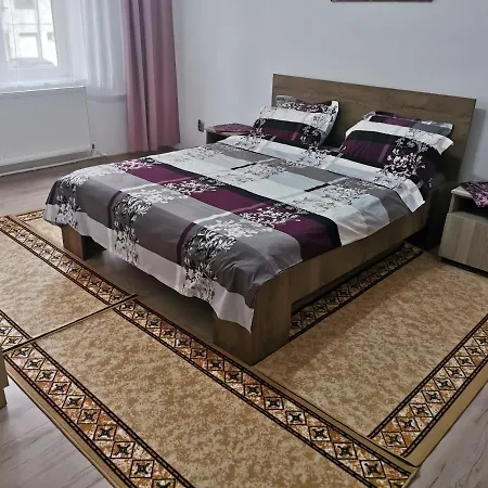 Apartament Bucovina *