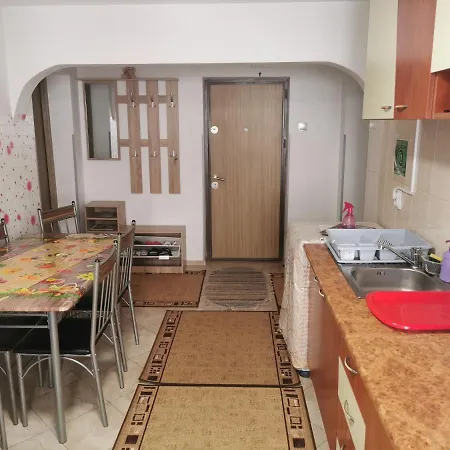 Apartment Apartament Bucovina Campulung Moldovenesc