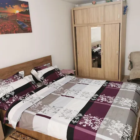 Apartament Bucovina Apartment Campulung Moldovenesc